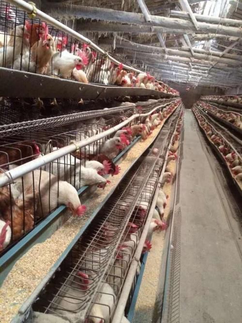 �|�����u���r(ji��)��